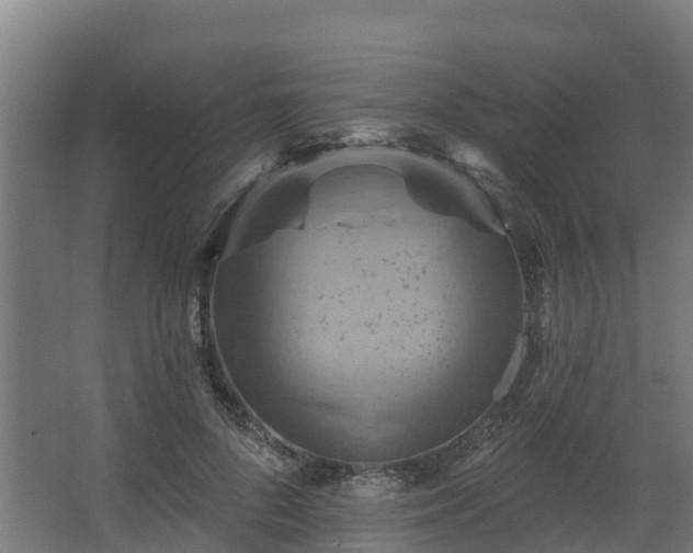 X0000068740696200605011025