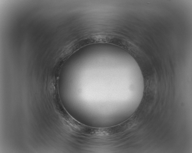 X0000068740702200605011025