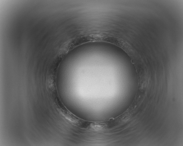 X0000068740706200605011025