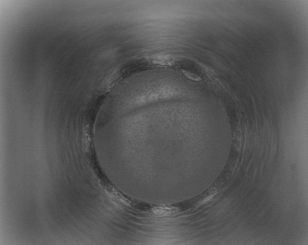 X0000068740707200605011025