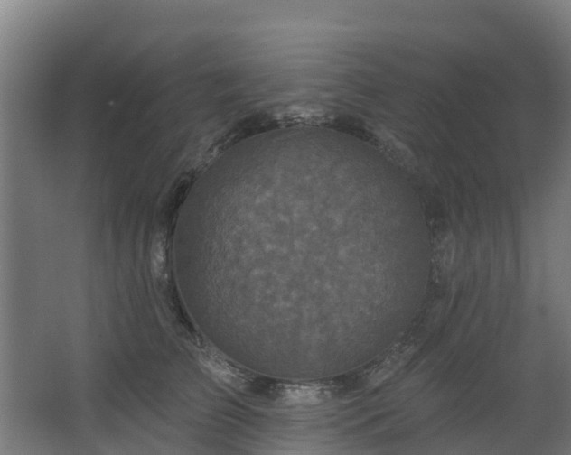 X0000068740709200605011025