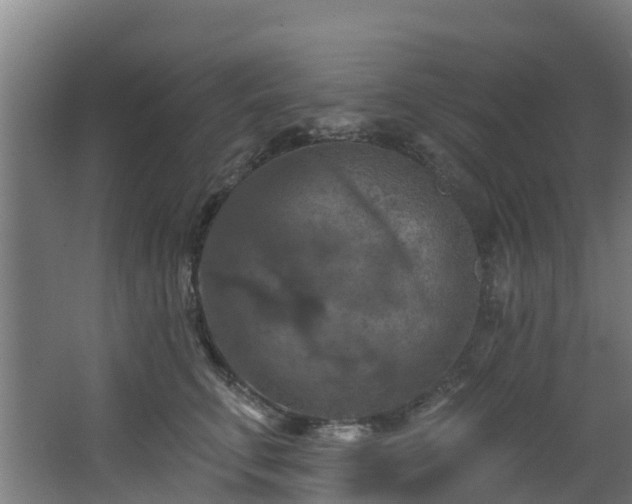 X0000068740711200605011025