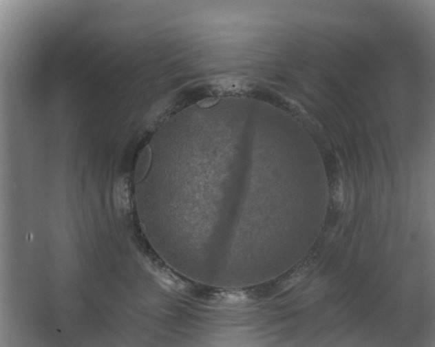 X0000068740715200605011025