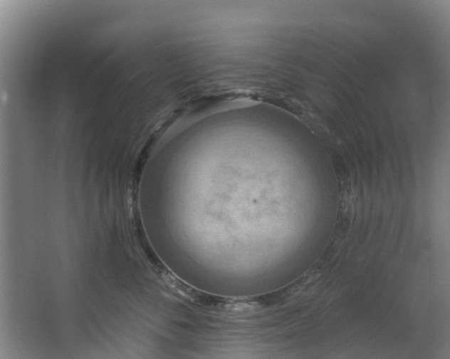 X0000068740716200605011025