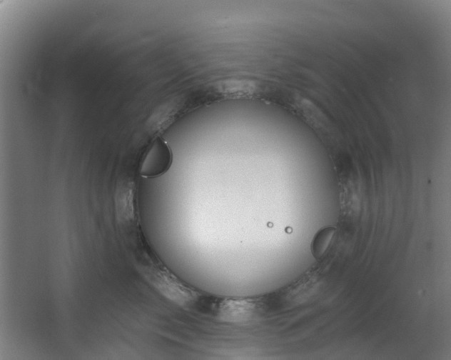 X0000068740717200605011025