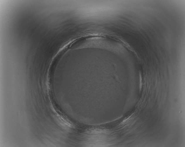 X0000068740722200605011024