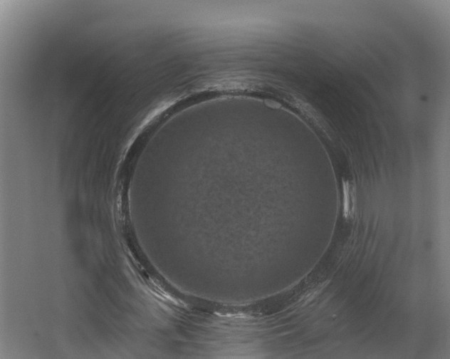 X0000068740723200605011024