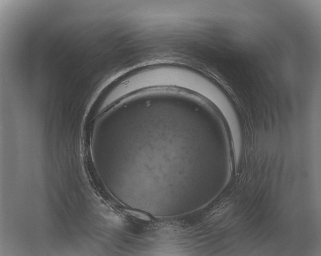 X0000068740724200605011024