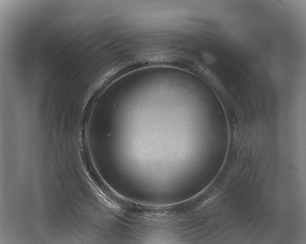 X0000068740725200605011024