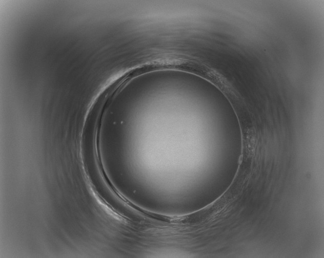 X0000068740726200605011024