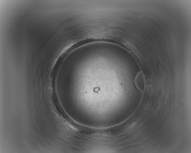 X0000068740727200605011024