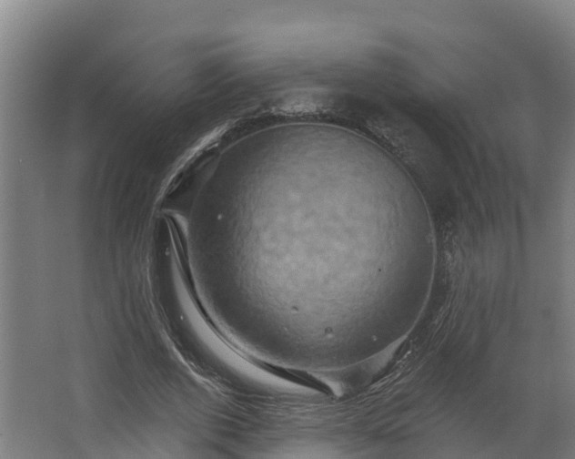 X0000068740728200605011024