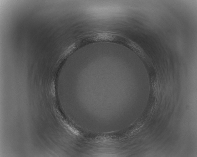 X0000068740729200605011024