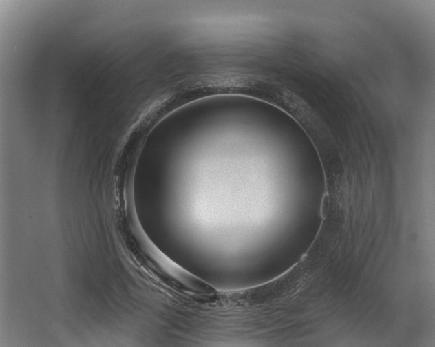 X0000068740731200605011024