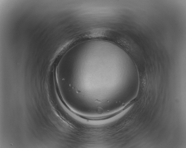 X0000068740732200605011024