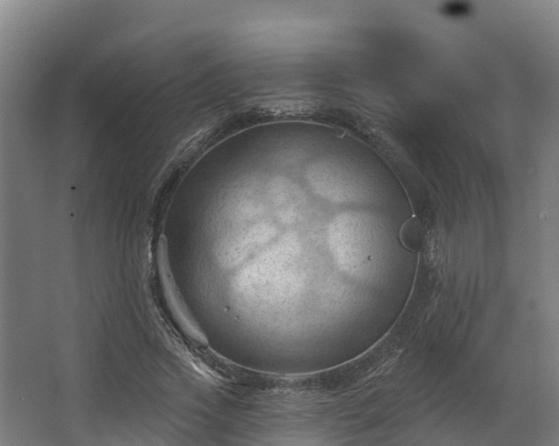 X0000068740733200605011024