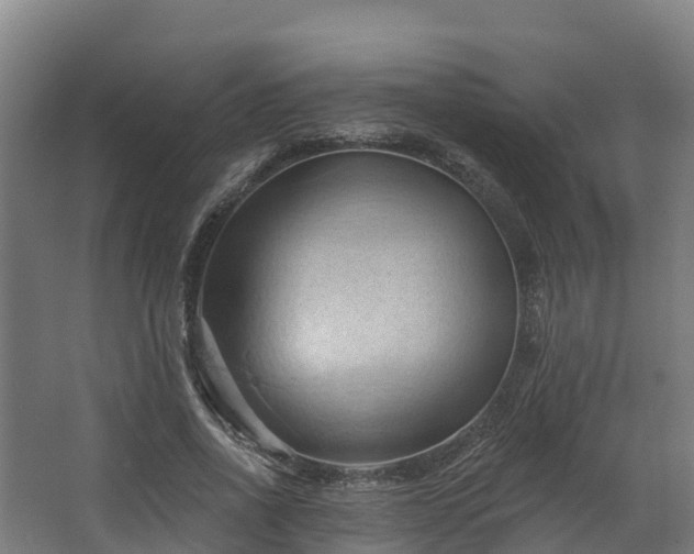 X0000068740734200605011024