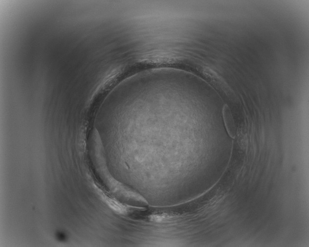 X0000068740735200605011025