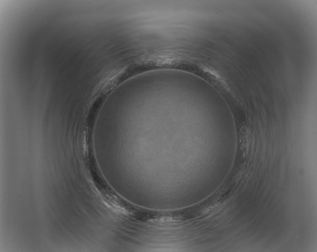 X0000068740740200605011025