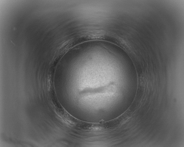 X0000068740741200605011025