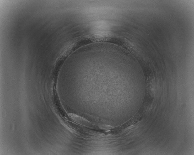 X0000068740742200605011025