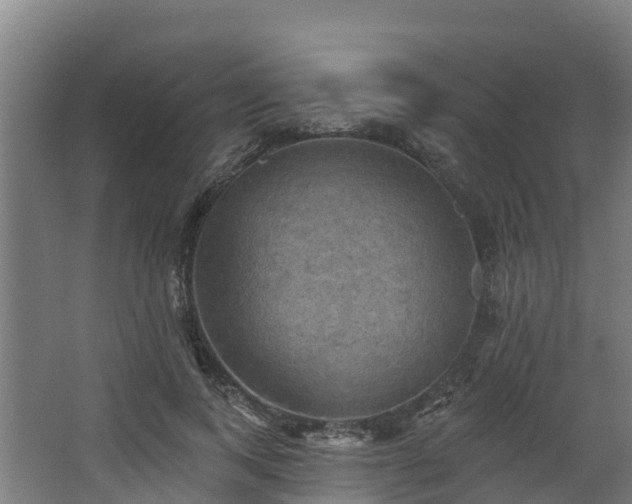 X0000068740743200605011025