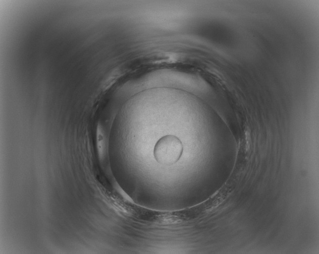 X0000068740750200605011025