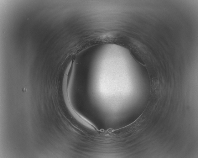 X0000068740752200605011025