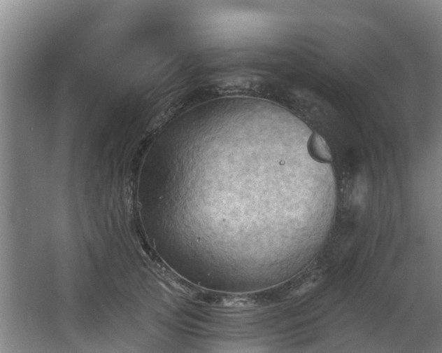 X0000068740753200605011025