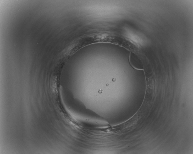 X0000068740754200605011025