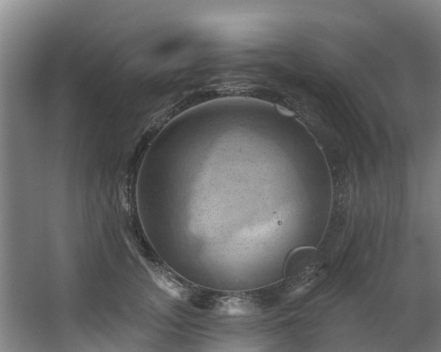 X0000068740755200605011025