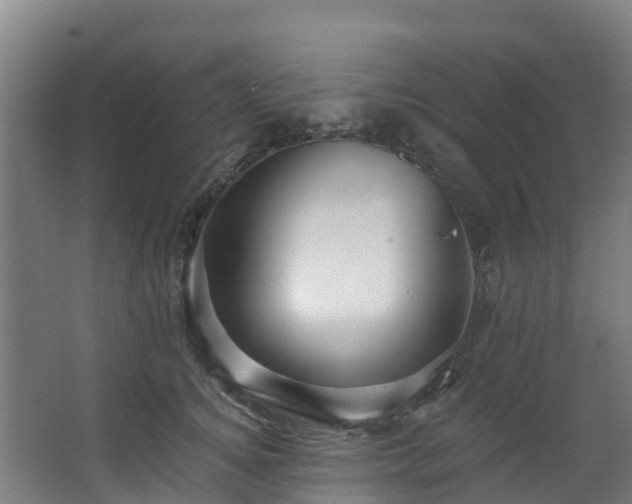 X0000068740756200605011025