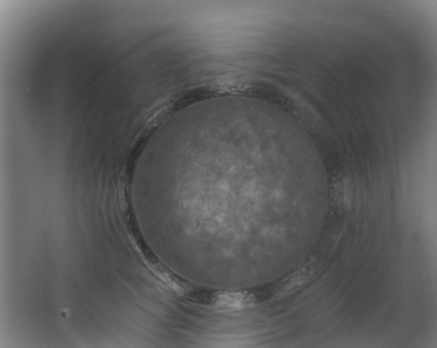 X0000068740757200605011025