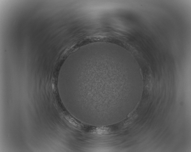 X0000068740758200605011025