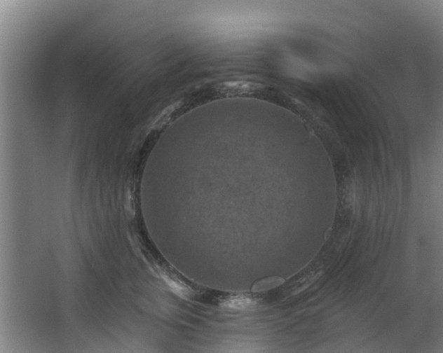 X0000068740759200605011025