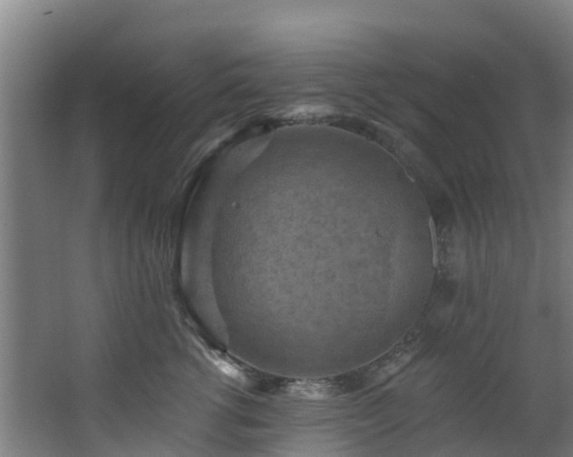 X0000068740762200605011025