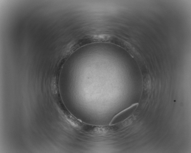 X0000068740764200605011025