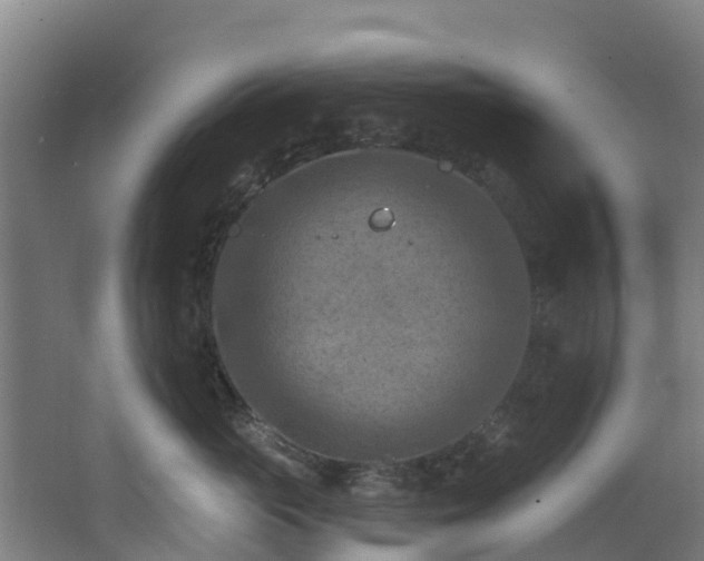 X0000068740765200605011025