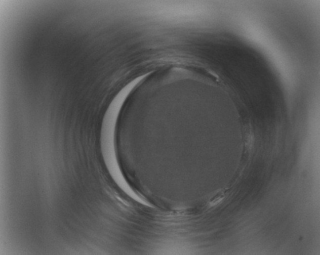 X0000068740766200605011025