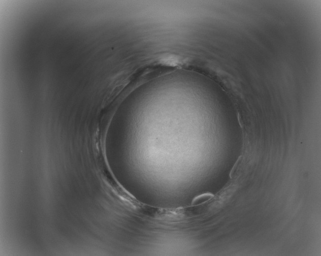 X0000068740768200605011025