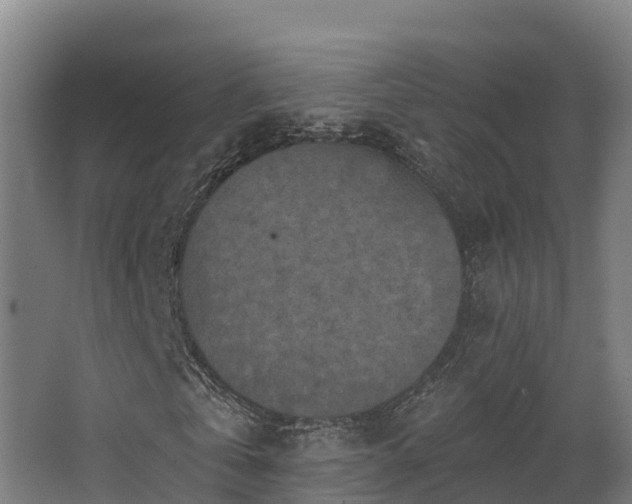 X0000068740769200605011024