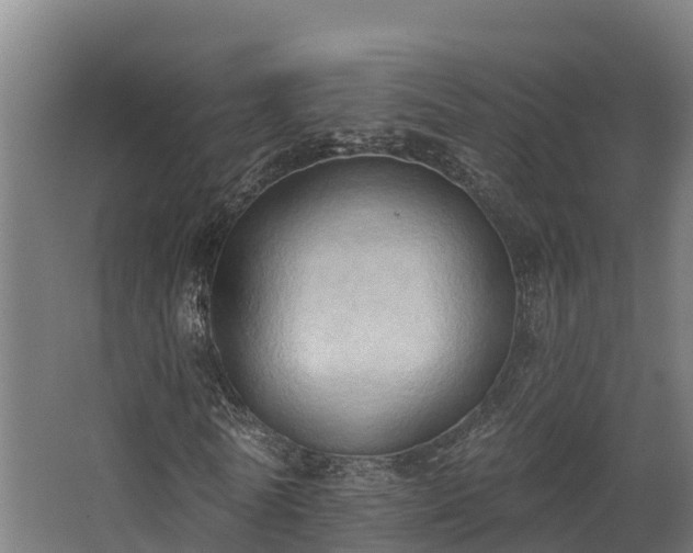 X0000068740770200605011024