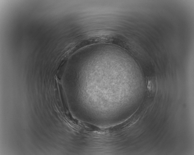 X0000068740771200605011024