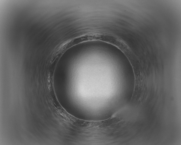 X0000068740773200605011024