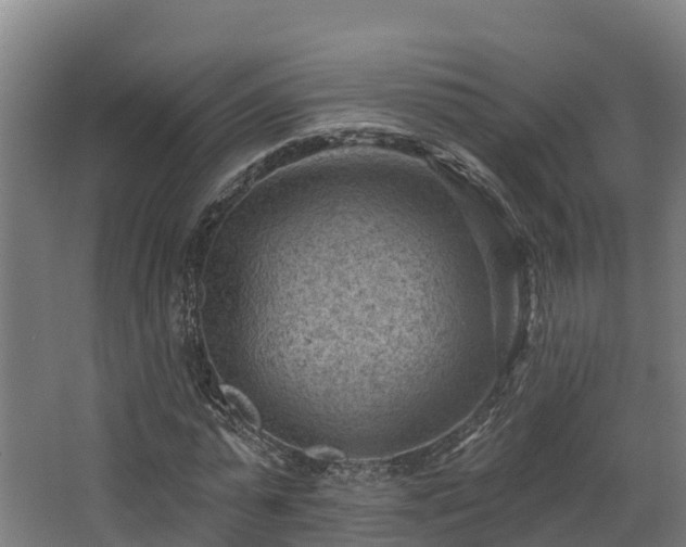 X0000068740775200605011024