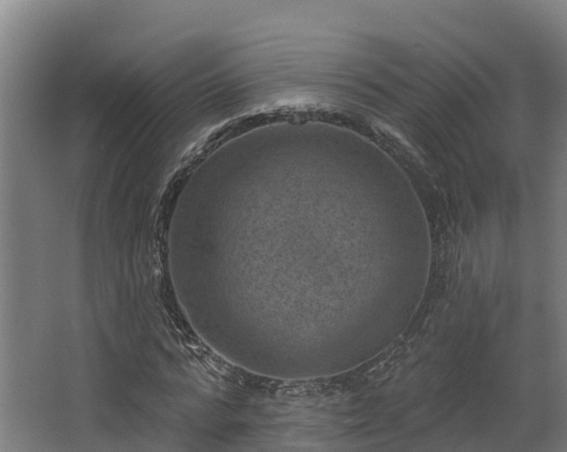 X0000068740776200605011024