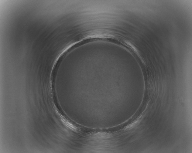 X0000068740779200605011024