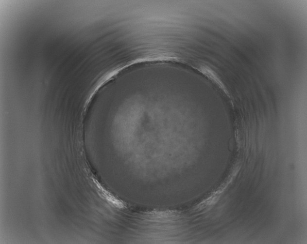 X0000068740781200605011024