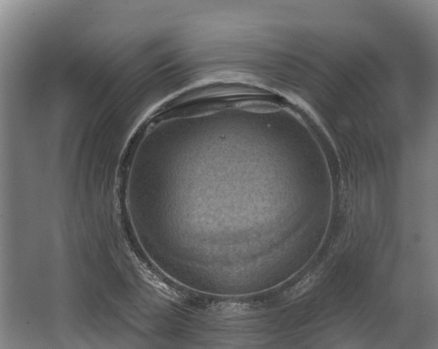 X0000068740783200605011024