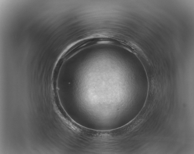 X0000068740784200605011024